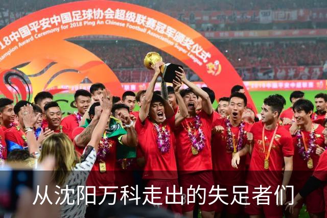 从沈阳万科走出的失足者们